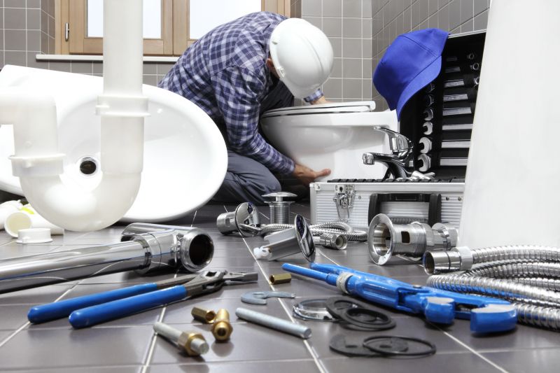 Commercial Toilet Repair